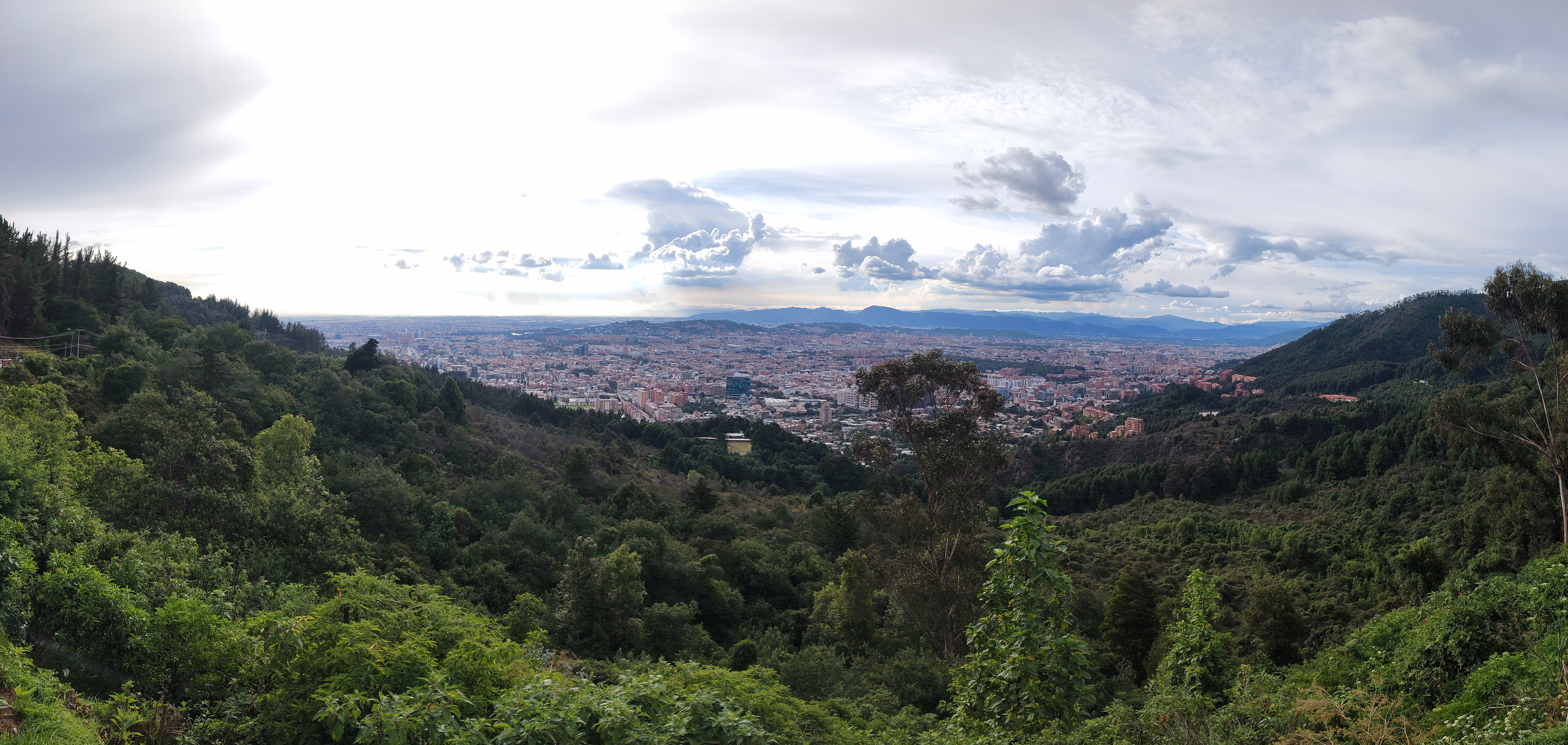 Medio Ambiente