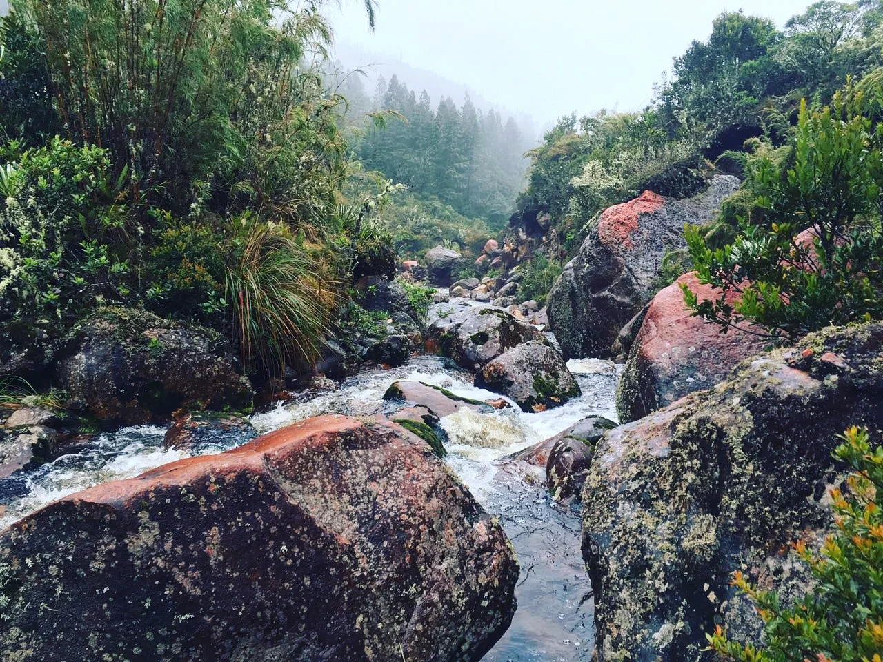 Turismo Campesino